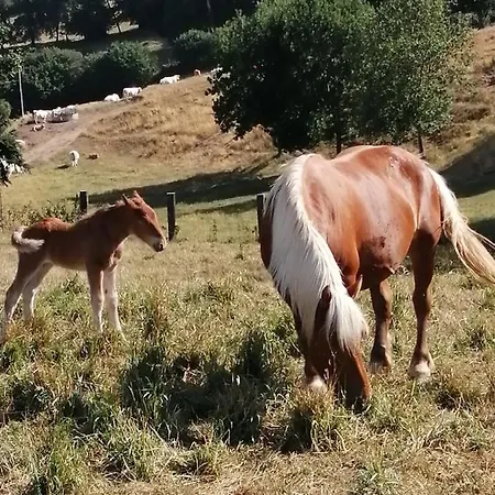 La Maison Des Rosiers 度假居 *
