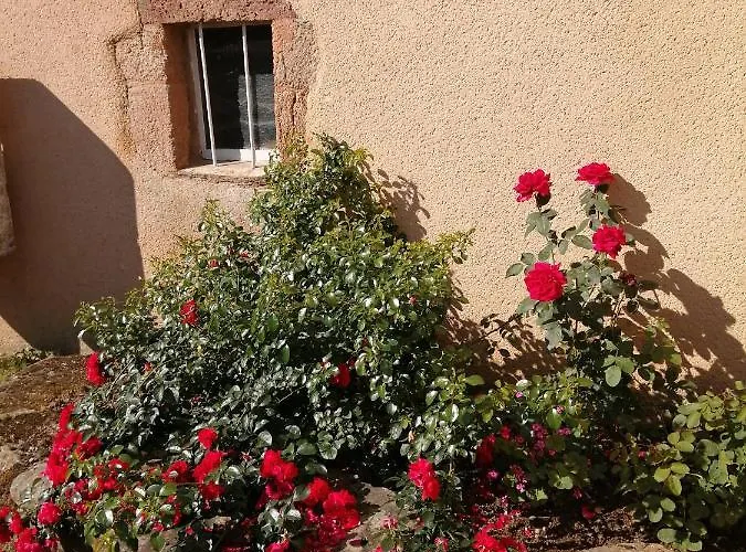 Dom wakacyjny La Maison Des Rosiers *